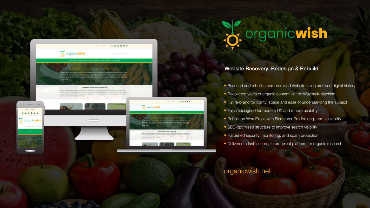 organic wish - website design and re-build and recovery